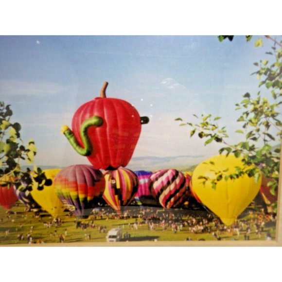 Steamboat Springs Colorado Balloon Rodeo Framed Photo Print Hot Air Balloons - Picture 2 of 7